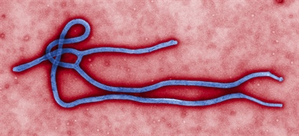 Tracking the Ebola virus by modeling human mobility could help better control the disease. Image courtesy of Wikimedia Commons.