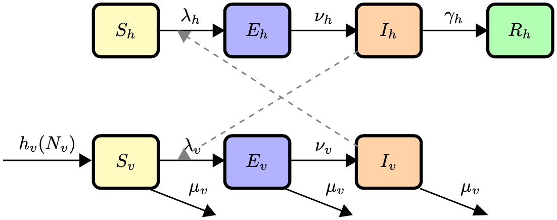 &lt;strong&gt;Figure 1.&lt;/strong&gt; Compartmental diagram for dengue virus transmission and subsequent disease progression across humans and mosquitoes. A susceptible human \((S_h)\) becomes exposed to dengue \((E_h)\) from the bite of an infectious mosquito \((I_v)\). Exposed individuals become infectious \((I_h)\) after an incubation period, then are removed \((R_h)\) once they clear the infection. Susceptible mosquitoes \((S_v)\) enter the system at the rate \(h_v(N_v)\), and either die or become exposed \((E_v)\) when they bite an infected person. Exposed mosquitoes become infectious \((I_v)\) after the extrinsic incubation period and leave the system though natural death. Figure courtesy of [2].