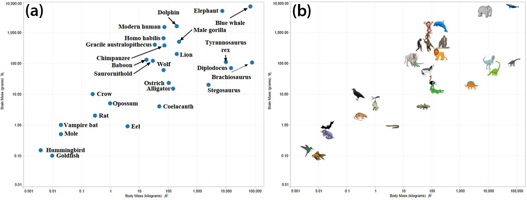 <strong>Figure 1.</strong> Sample charts that display the brain-to-body mass ratios for various animals on a log-log scale. <strong>1a.</strong> Carl Sagan’s scatterplot includes dots with labels for each animal. <strong>1b.</strong> Icons that depict each animal effectively indicate the semantics of marks in the chart. Figure courtesy of [5].