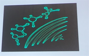 <strong>Figure 1.</strong> The four <em>Vibrio Cholerae</em> quorum regulating RNA predicted minimum free energy secondary structures drawn on a petri dish. Image credit: Henke J. and Bassler B. Princeton.