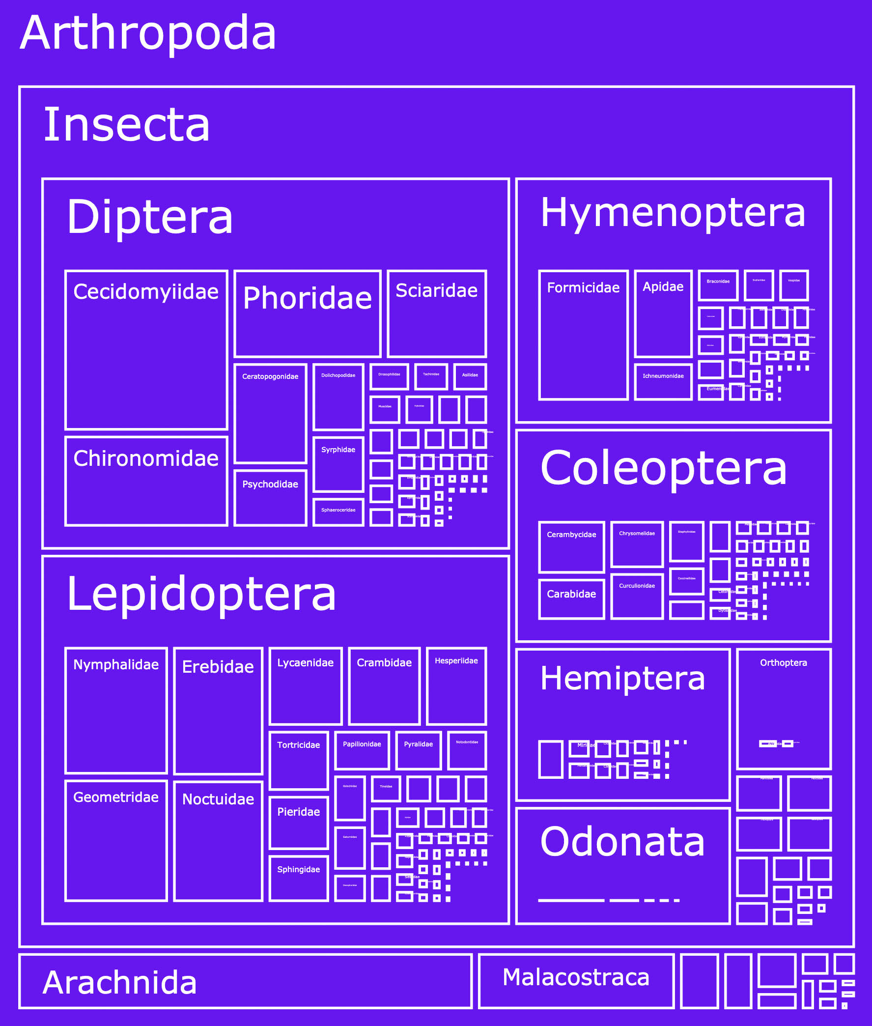 <strong>Figure 2.</strong> Machine learning models that classify organisms must be trained on data that properly place them in scientific categories. The TreeOfLife-10M dataset allows users to file organisms in nesting categories from phyla down to species, shown here diagrammatically for arthropods: the group that contains insects, spiders, crabs, and other joint-legged invertebrates. Figure adapted from [3].