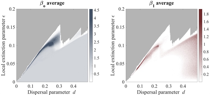 <strong>Figure 2.</strong> Average asymptotic Betti numbers for simulations at specified values of dispersal \(d\) and local extinction parameter \(\epsilon\) using 100 random initial conditions per parameter pair. For each initial condition, we first apply 1,000 model iterations to remove dynamical transients, and then calculate \(\beta_0\) and \(\beta_1\) for the population distribution pattern produced by the final model iteration. We then average the results for each parameter pair across the 100 trials to create a picture of parameter space in terms of average asymptotic Betti numbers. Grey coloring indicates that every trial went globally extinct. Figure courtesy of Laura Storch and Sarah Day.
