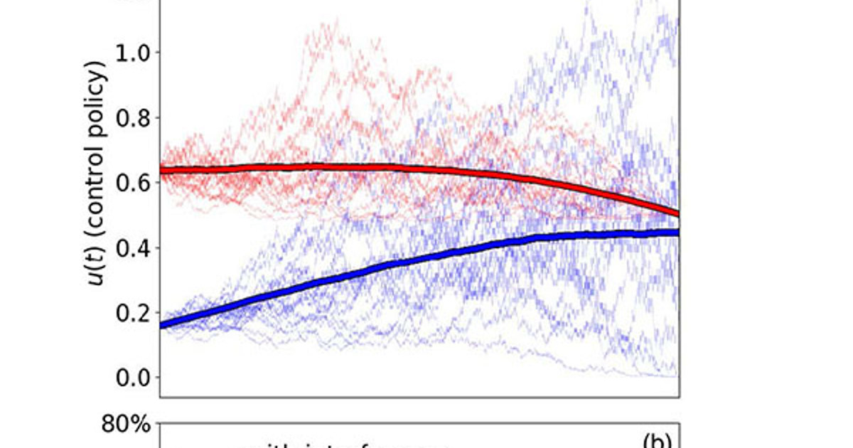 The Election Interference Game Siam