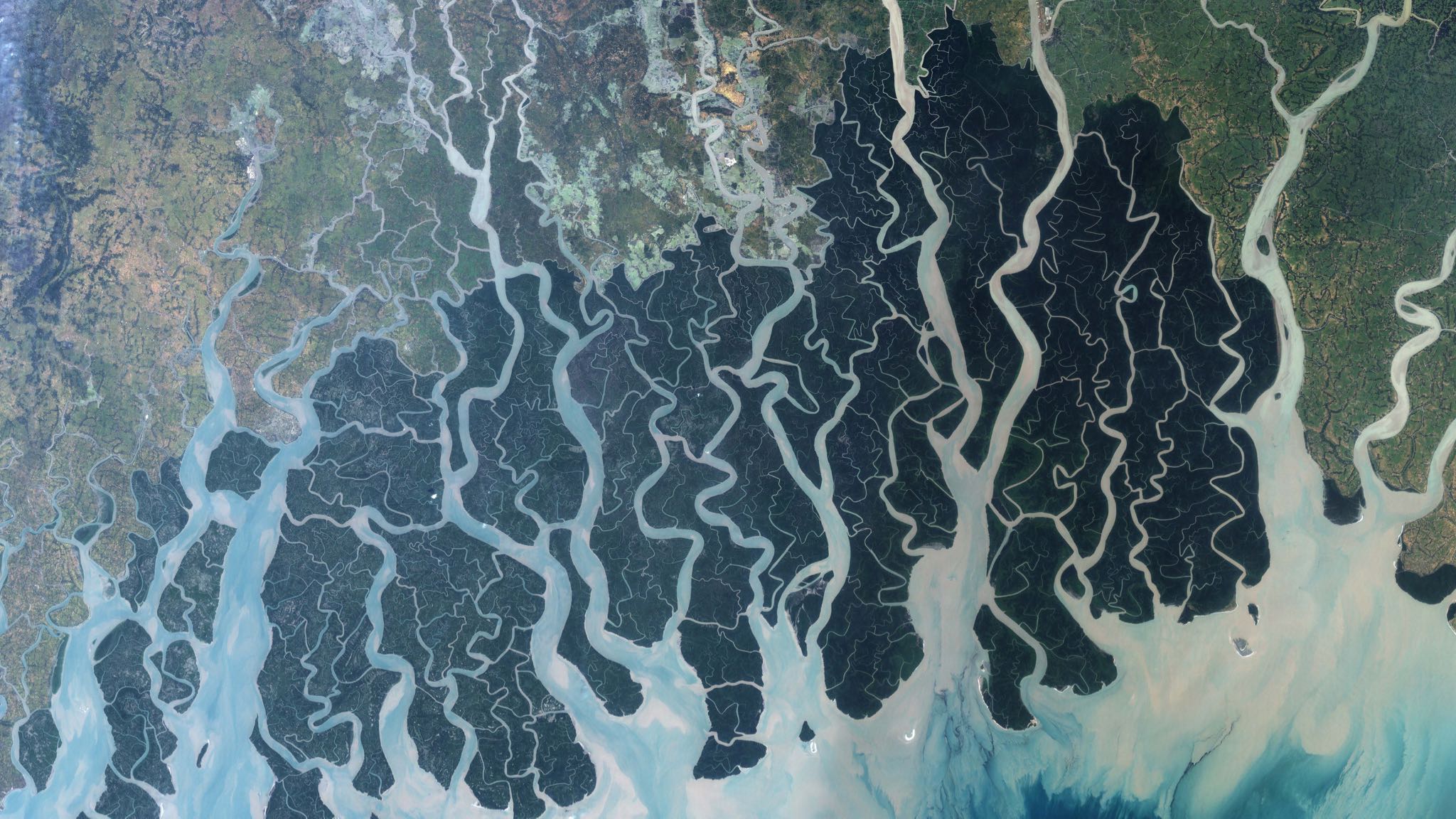 In Lieb's first feature, an article about sustainably-sourced palm oil, she reported on extensive mangrove forests in the Sundarbans (pictured above) that protect the region from coastal flooding. Photo credit: Wikimedia Commons.