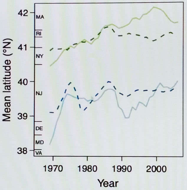 Changes in the mean latitude of summer flounder (blue) and red hake (green) populations (solid line) and fishery landings (dashed line) from 1970 to present-day.