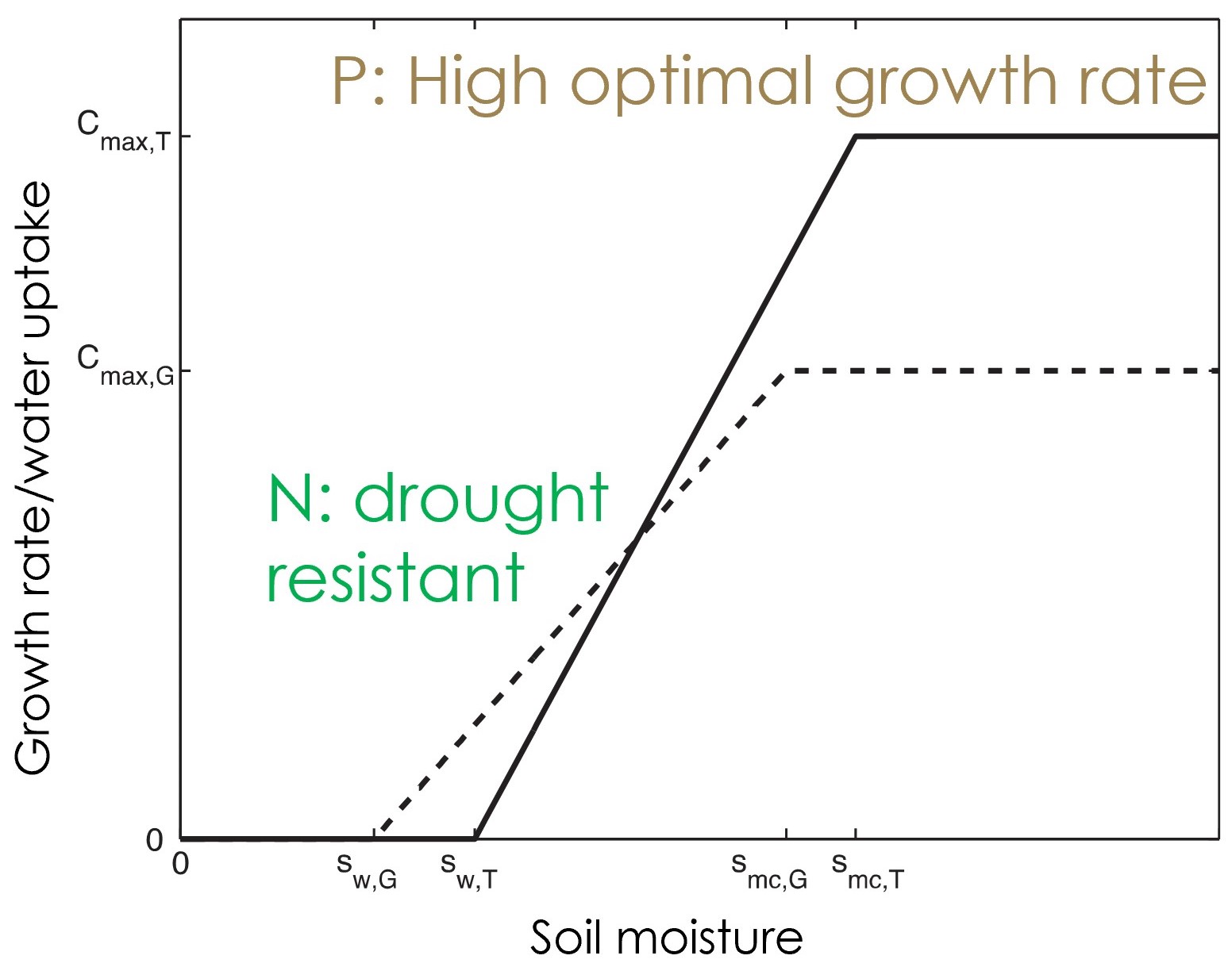 <strong>Figure 2.</strong> Growth rate/water uptake versus soil moisture for a drought-resistant plant (dashed line), as well as a less drought-resistant plant with a higher optimal growth rate (solid line). Figure courtesy of Mara Baudena [2].