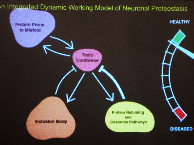 In recent years there has been little progress in the understanding and treatment of neurodegenerative disease, the study of which is quite complicated. Image credit: Steven Finkbeiner, AN16 presentation.