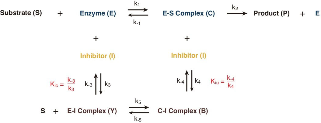 <strong>Figure 2.</strong> Diagram of enzyme inhibition. Inhibitors delay or suppress conversion of a substrate to a product by binding to either the enzyme or enzyme-substrate complex, thereby hindering the catalytic process. Figure courtesy of [6].