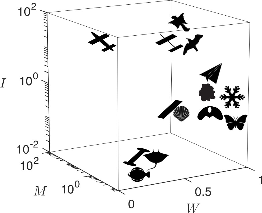 <strong>Figure 1.</strong> Real-world flight systems are embedded in different locations within a flight parameter space. Examples include a flying squirrel, a paper airplane, a flounder, and a butterfly, among others. The selected examples vary in size and composition, occupying either air or water. Dimensionless parameters \(I,\) \(M,\) and \(W\) respectively denote a given system’s moment of inertia, inertial mass, and buoyancy-corrected gravitational mass. Figure courtesy of [4].