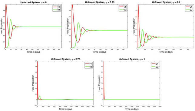 <strong>Figure 4.</strong> Here, \(\beta = 312/365.2422\), \(\delta = 0.1\), \(\mu = 1/(60*365.2422)\), \(\nu = 52/365.2422\), \(\gamma = 0.2\), \(\alpha = 1/5\), and \(r = 0.9\). As \(\gamma\) ranges from \(0\) to \(1\), anti-phase oscillatory behavior is most present around \(\gamma = 0.5\) (i.e., when the protection to infection from the other strain is about 50 percent) and least present as \(\gamma\) approaches \(1\). Notice that our equilibria values for the pathogen compartments can be written as \(P_j = (\alpha/r)y_j\). Since the pathogen population is always proportional to the infectious host population of the same strain, the graphs will exhibit the same general behavior after enough time. Figure courtesy of Leah LeJeune.