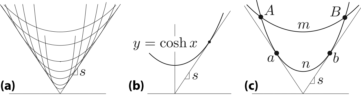 <strong>Figure 3. 3a.</strong> Graphs of \((6)\) fill the sector. <strong>3b.</strong> The definition of slope \(s=\min_{x>0}x ^{-1} \cosh x=1.996...\) <strong>3c.</strong> Points \(A\) and \(B\) satisfy \(r/a>s\) and two possible shapes exist for the soap film, but only \(AmB\) is stable and physically observable. Both curves \(AnB\) and \(AmB\) are geodesics in the metric \(y \,ds\), but only \(AnB\) has a conjugate pair of points \(a\) and \(b\). As such, it cannot be minimal; in fact, its Morse index is \(1\) [1]. In contrast, \(AmB\) has no conjugate points and is thus a minimizer of the “length” \(\int y\,ds\). The case of \(r/a=s\) is critical and unstable, as the two solutions coalesce into a saddle node of potential energy.