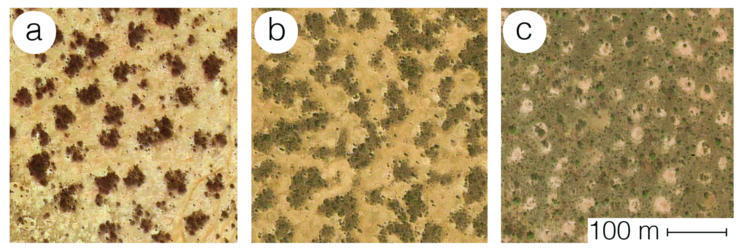 <strong>Figure 1.</strong> Aerial images of flat terrain vegetation patterns in Sudan. <strong>1a.</strong> Spot (11.6280, 27.9177). <strong>1b.</strong> Labyrinth (11.1024, 27.8228). <strong>1c.</strong> Gap patterns (10.7549, 28.5955). Images © Google, DigitalGlobe. Image credit: Karna Gowda.