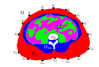 Simplified abdomen image from CT with 16 electrodes. Red color represents subcutaneous fat region, blue represents muscle region, white represent bone region, pink represents visceral region, and green represents abdominal organs. Image credit: SIAM