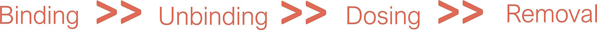 <strong>Figure 4.</strong> Hierarchy of the speed of processes in the system. Figure courtesy of Rosie Evans.