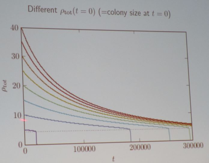 <strong>Figure 2.</strong> Colonies with the highest population density at t=0 have the greatest chance of surviving the winter.