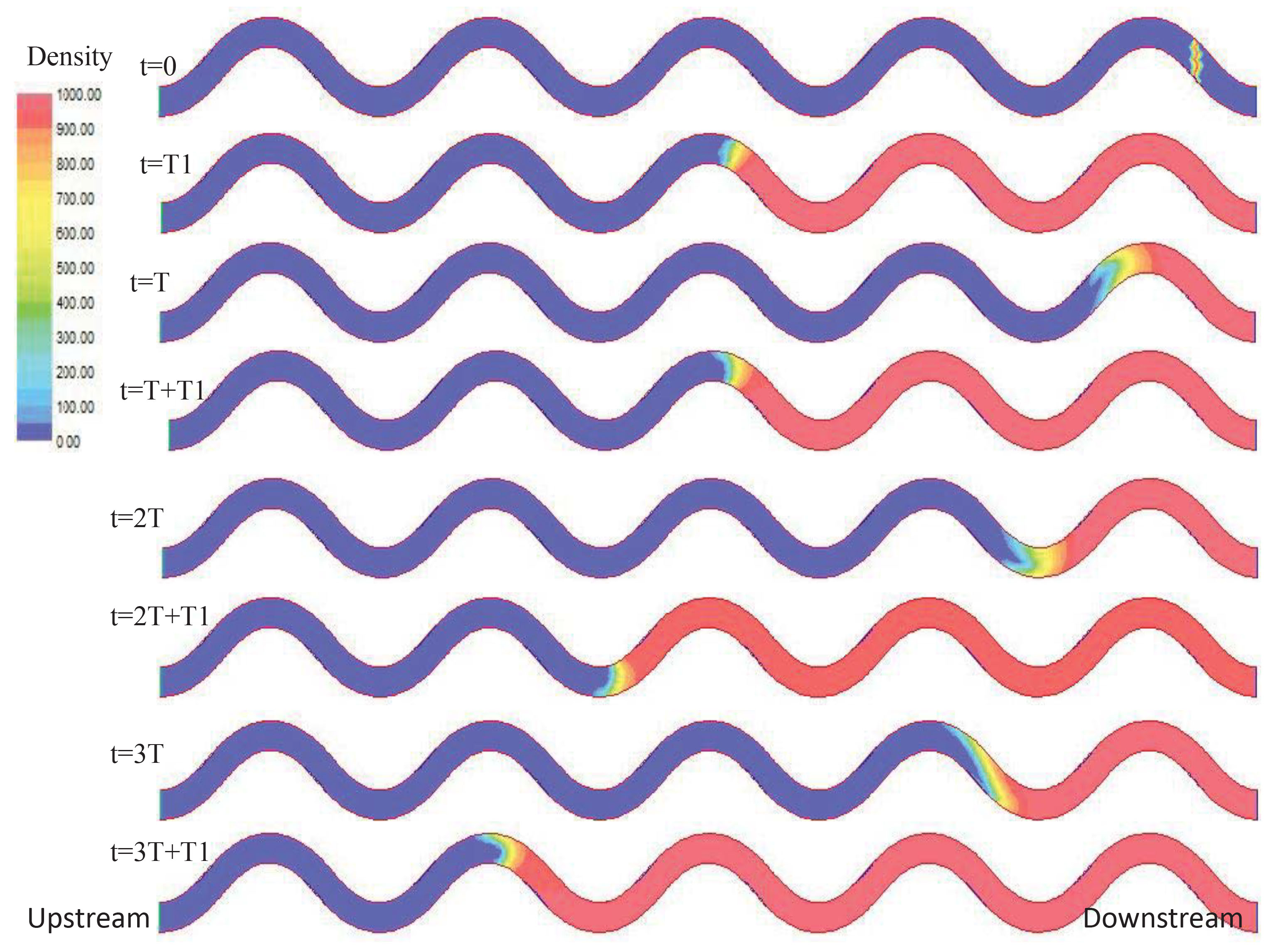 <strong>Figure 1.</strong> An invasion ratchet in a meandering river. The colors represent the population density at different locations in the river at different times. The parameters are as follows: flow period is \(T=365\) days, low flow season length is \(T_1=270\) days, low flow is \(1 \textrm{ m}^3/\textrm{s}\), high flow season length is \(T_2=95\) days, and high flow is \(20 \textrm{ m}^3/\textrm{s}\). Image courtesy of [3].