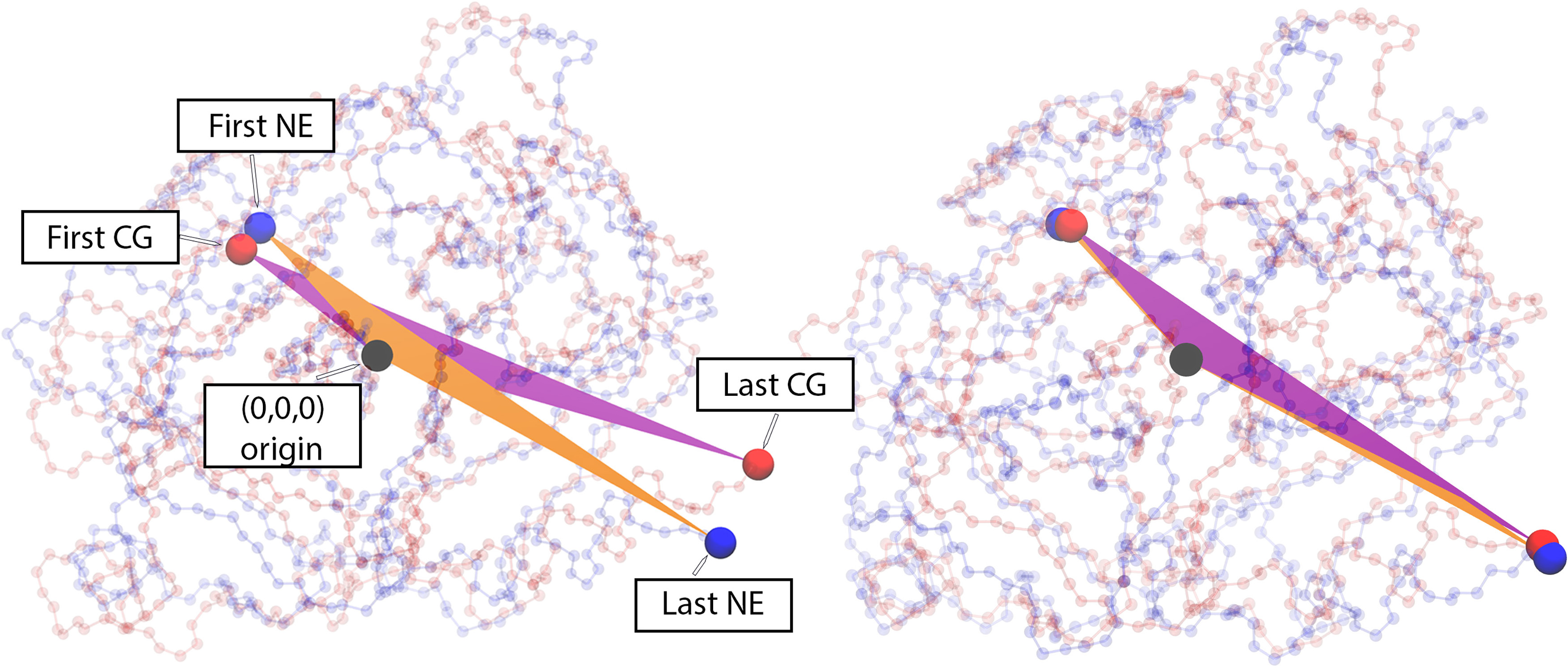 &lt;strong&gt;Figure 2.&lt;/strong&gt; Overlaid structures of neutrophil elastase (NE, in blue) and cathepsin G (CG, in red). The first and last amino acid residues of each protein are marked as such. To initialize the alignment procedure, we translate both structures so that their geometric centers coincide with the origin. We then rotate NE such that the triangles of the two proteins are coplanar. Figure courtesy of [6].