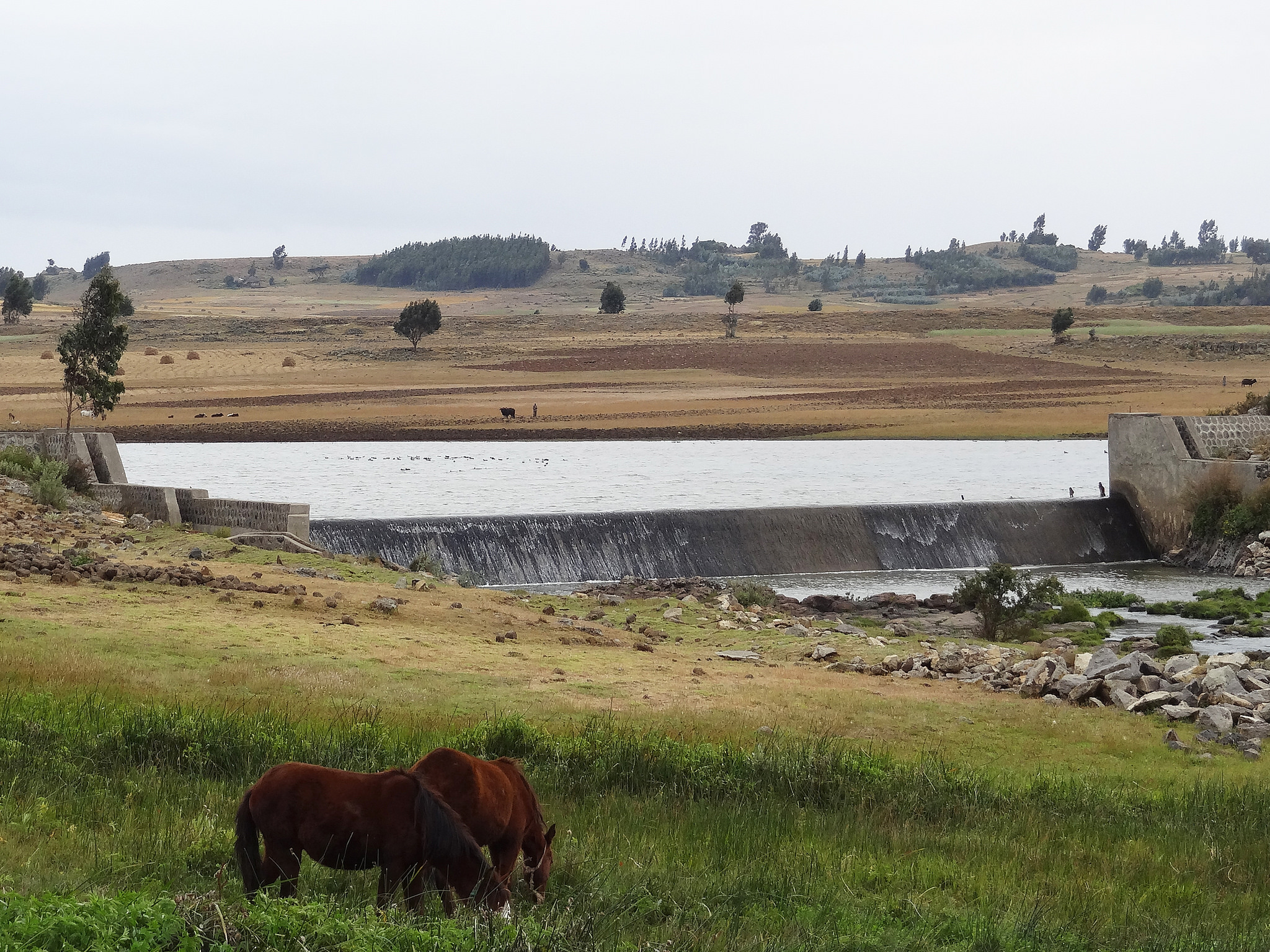 In cooperation with the International Fund for Agricultural Development (IFAD), the International Institute for Applied Systems Analysis (IIASA) supports the impact evaluation of IFAD-funded projects by collecting data from farmers in the field, to be fed into models supporting the development of future policy scenarios. The image shows an IFAD-funded irrigation site in Ethiopia. © Christoph Perger (IIASA).