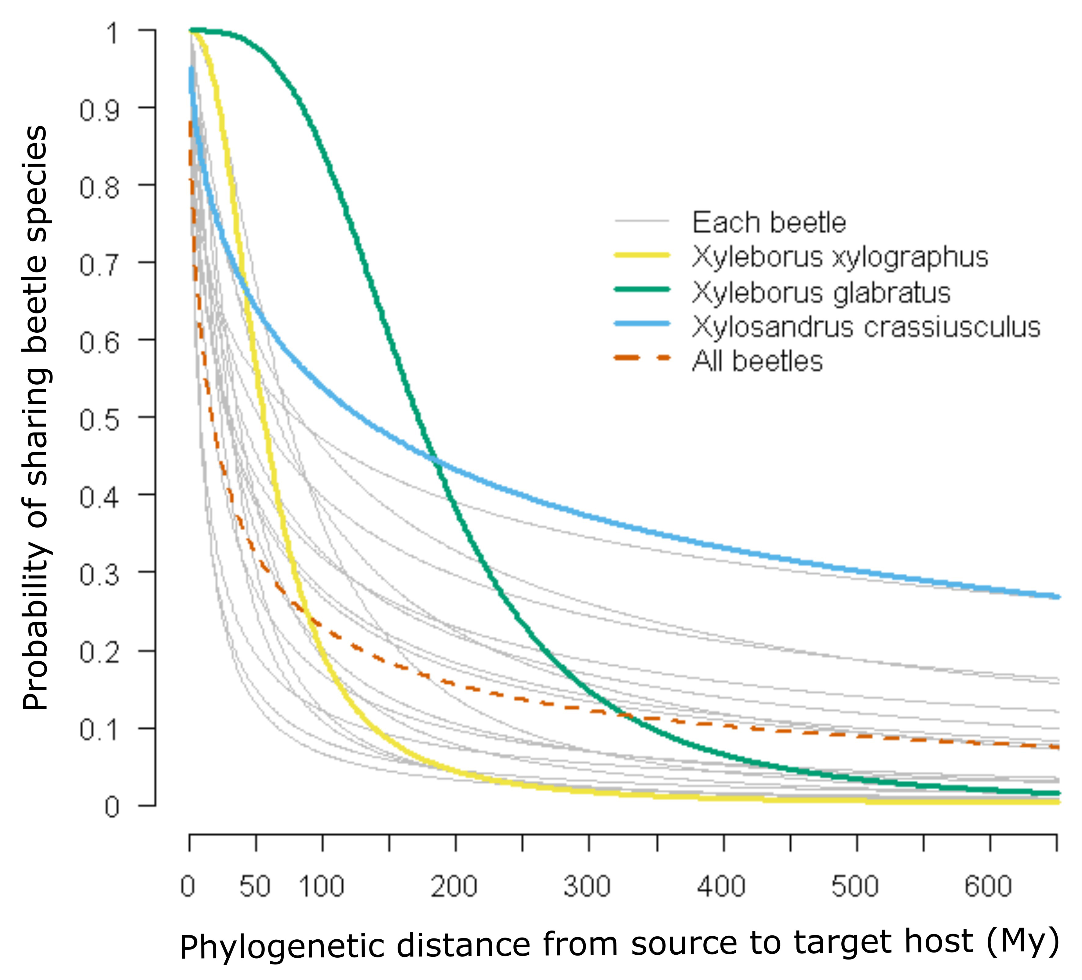 Phylogenetic signal and probability of host plant genera sharing beetle species. Curves are predicted from logistic regressions. Four relationships are highlighted: a narrow host range and phylogenetically constrained species (Xyleborus xylographus), a wide host range and phylogenetically constrained species (Xyleborus glabratus), a wide host range and phylogenetically dispersed species (Xylosandrus crassiusculus), and all beetle species together.