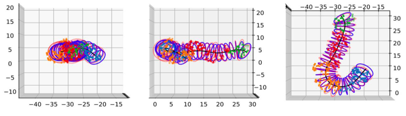 <strong>Figure 3.</strong> Worm. Figure courtesy of Kirk Gardner.