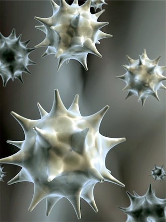 <strong>Figure 1.</strong> 3D rendering of a colony of pathogen viruses. Photo Credit: © frenta / Masterfile