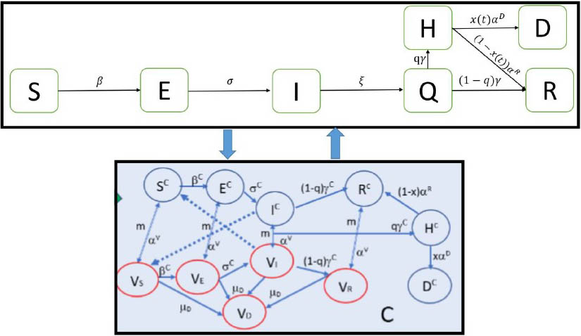 &lt;strong&gt;Figure 1.&lt;/strong&gt; A COVID-19 compartmental model with susceptible \((S)\), exposed \((E)\), infectious \((I)\), quarantined \((Q)\), hospitalized \((H)\), deceased \((D)\), and recovered \((R)\) compartments. A lockdown-induced confinement compartment (blue background) includes COVID-19 dynamics (blue circles) and corresponding domestic violence victims (red circles, which are denoted by parameters \(V_S\), \(V_E\), \(V_I\), \(V_D\), and \(V_R\)). Figure courtesy of [2].
