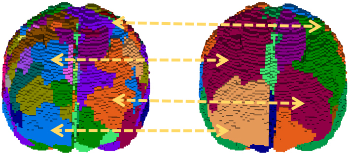 <strong>Figure 1.</strong> Parcellation of the brain using functional magnetic resonance imaging (fMRI) data and a clustering algorithm. The left side depicts large communities and the right side depicts small communities. Figure courtesy of Ariful Azad.