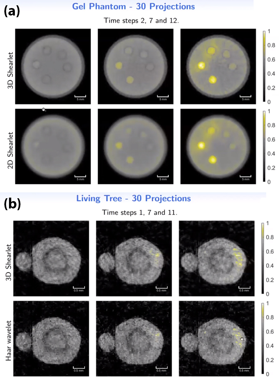 <strong>Figure 3.</strong> Experimental results of iodine (shown in yellow) spreading through physical objects imaged with an X-ray micro-CT scanner and processed with various techniques. <strong>3a.</strong> Images of the cross section of a gel phantom compiled from 30 projections taken at time steps 2, 7, and 12 and processed using three-dimensional (3D) and two-dimensional shearlet techniques. <strong>3b.</strong> Images of the cross section of a living tree compiled from 30 projections taken at time steps 1, 7, and 11 and processed using 3D shearlet and Haar wavelet techniques. Figure courtesy of Tatiana Bubba.