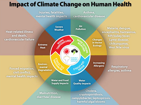 Climate change, when combined with natural and human-induced stressors, influences health and disease in numerous ways. Image courtesy of the Centers for Disease Control and Prevention.