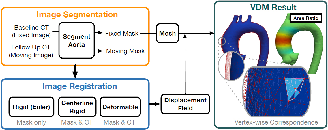 <strong>Figure 1.</strong> Simplified schematic overview of the vascular deformation mapping (VDM) analysis pipeline. Computed tomography (CT) data undergo aortic segmentation (orange box), followed by rigid and deformable registration (blue box). Researchers use the displacement field \(\phi\), which is calculated from the deformable registration, to translate the mesh vertices of the baseline model (blue surface) to the aortic geometry at follow up (red mesh). The ratio of change in the surface area of each mesh element (area ratio) is plotted on the aortic surface via a colorized scale. Figure courtesy of [3].