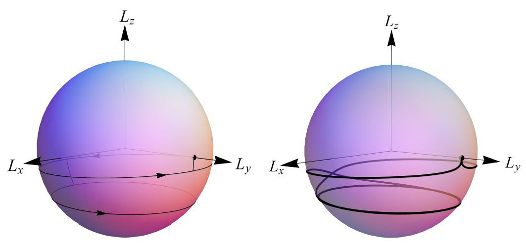 <strong>Figure 1.</strong> Trajectory on the sphere of constant momentum |<strong>L</strong>|=<em>l</em>. <strong>Left</strong>. Kick model, second kickoff by a half twist. <strong>Right</strong>. Realistic model. Image credit: [5].