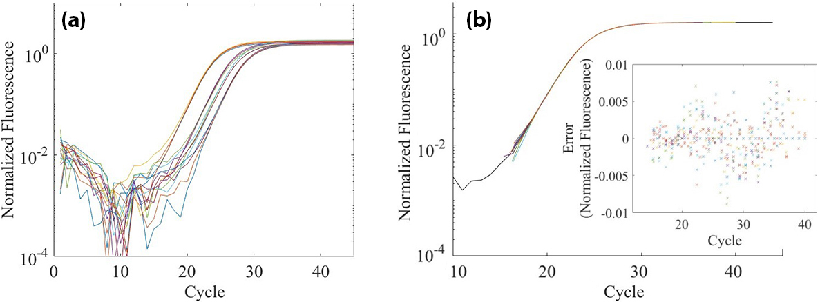 <strong>Figure 1.</strong> An example in which our affine transformation succeeded in mapping to a reasonable reference curve. <strong>1a.</strong> A collection of quantitative polymerase chain reaction (qPCR) curves that are associated with the N1 subunit of SARS-CoV-2 ribonucleic acid (RNA). <strong>1b.</strong> Data collapse that results from a transformation of the curves in 1a onto the left-most curve. The inset shows the residuals normalized to the maximum scale of the reference curve. The characteristic errors are less than one percent, which is likely due to photodetector noise. Figure courtesy of [6].
