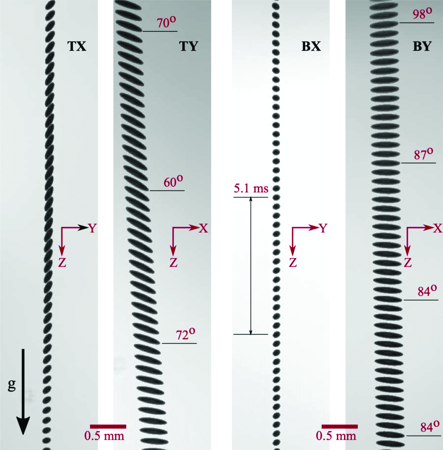 <strong>Figure 2.</strong> High-speed camera footage of 3D-printed spheroids as they settle to the bottom of an air chamber. The two left panels depict the tumbling motion at the beginning of the fall from different viewpoints, and the two right panels show the spheroids at the end of the fall. Figure courtesy of [1].