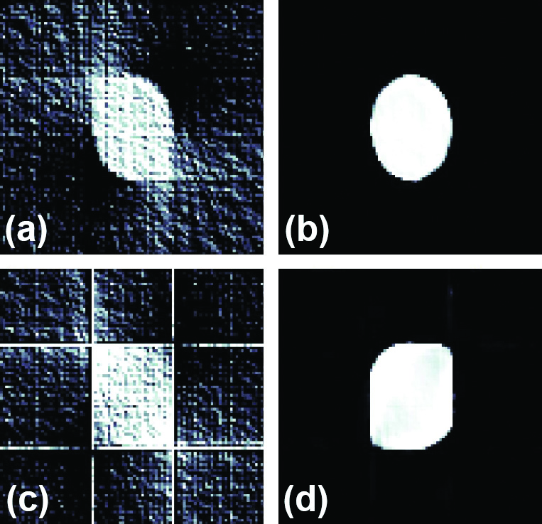 <strong>Figure 1.</strong> Direct reconstruction and network output for ellipse data (which is in the training distribution) and rectangle data (which is not). <strong>1a.</strong> Direct reconstruction of an ellipse. <strong>1b.</strong> Network output from the data in 1a. <strong>1c.</strong> Direct reconstruction of a rectangle. <strong>1d.</strong> Network output from the data in 1c. Figure courtesy of Tim Roith.