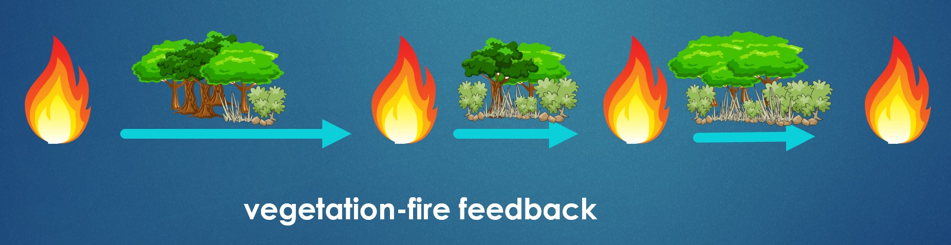 <strong>Figure 4.</strong> Feedback occurs between vegetation and stochastic fires: fires may change the type of plants in the ecosystem, which in turn affect how frequently fires occur. Figure courtesy of Mara Baudena and Marta Magnani.