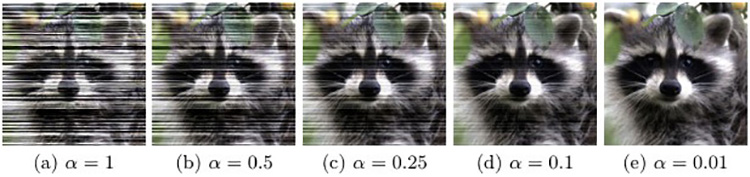 &lt;strong&gt;Figure 1.&lt;/strong&gt; Application of the Jain et al. watermark [6] to an image of a raccoon with varying values of the weighting parameter \(\alpha\). Courtesy of [4].