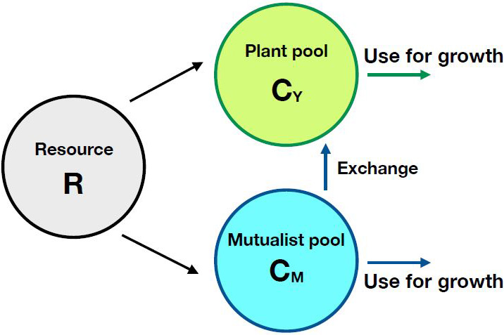 <strong>Figure 1.</strong> Structure of the resource-sharing model. Figure courtesy of Frederick Adler.