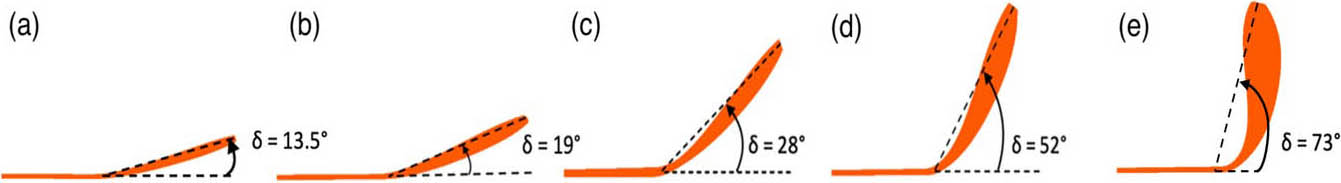 <strong>Figure 3.</strong> Five flexible wings and the maximum deflection of the wings from their original structure. <strong>3a–3c.</strong> Moderately flexible wings. <strong>3d–3e.</strong> Wings with high flexibility in the spanwise direction. Figure courtesy of Hrithik Aghav.