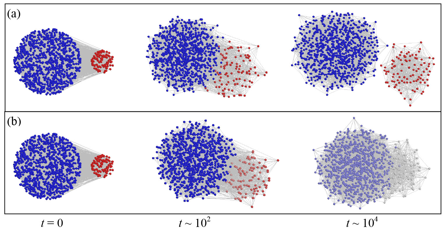 &lt;strong&gt;Figure 2.&lt;/strong&gt; Simulated dynamics leading to complete segregation (2a) and integration (2b) between guest (red) and host (blue) populations. Initial conditions are randomly connected guest and host nodes with attitudes \(x_{i,\: {\rm guest}}^{0} = -1\) and \(x_{i, \:{\rm host}}^{0} = 1\). Panels 2a and 2b differ only for \(\kappa\), the attitude adjustment timescale, with \(\kappa = 1000\) in 2a, where segregated clusters emerge, and \(\kappa = 100\) in 2b, where a connected host-guest cluster arises over time. Figure courtesy of Yao-li Chuang [2].