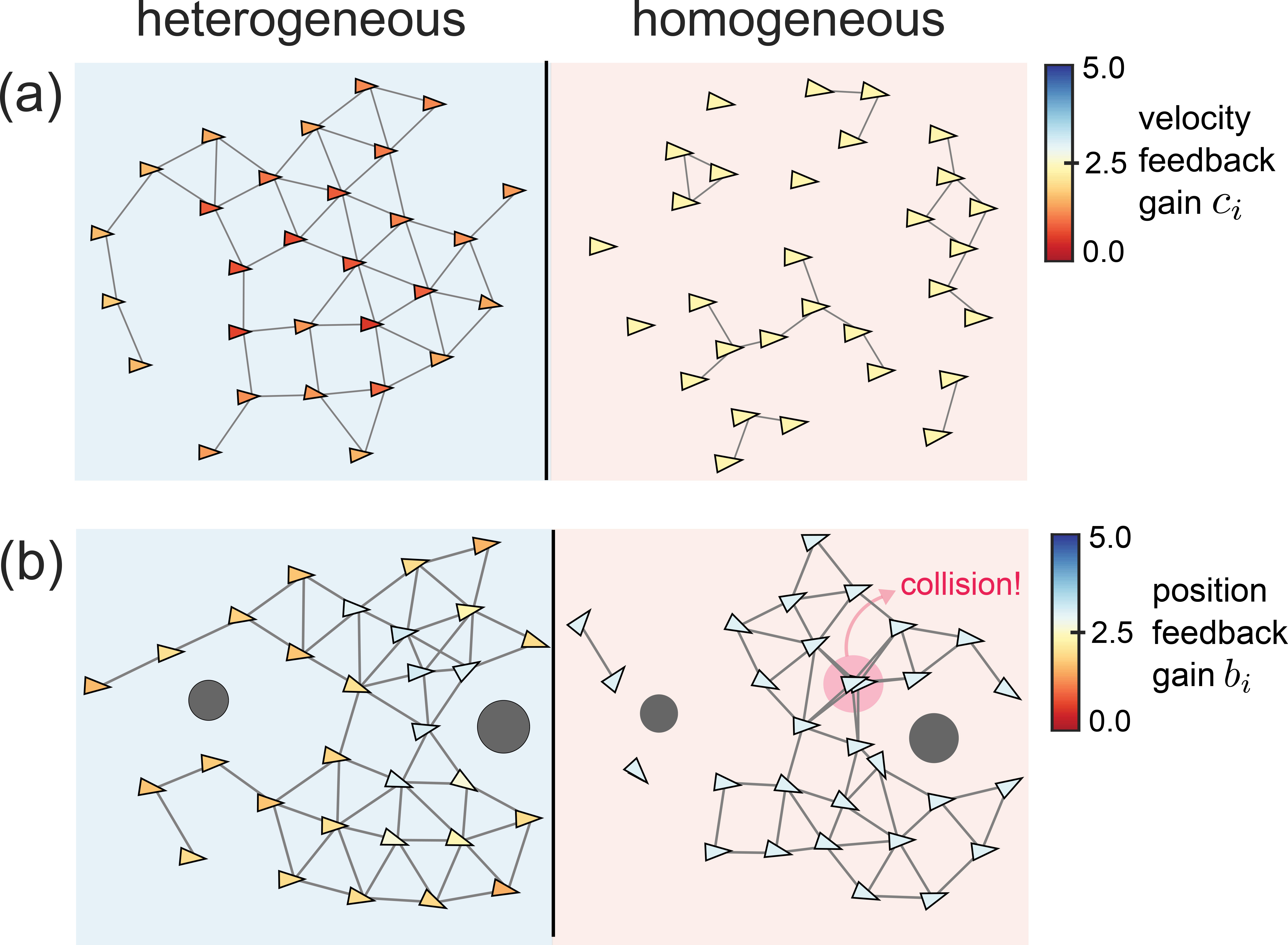 <strong>Figure 4.</strong> Flocking promoted by heterogeneity. <strong>4a.</strong> For identical initial conditions, the snapshots show that the heterogeneous flock converges to a connected, lattice-like formation, while the homogeneous flock remains disconnected. <strong>4b.</strong> When navigating an environment with obstacles, the heterogeneous flock maintains a connected formation, while, in the homogeneous case, the flock fragments and agents collide. In the heterogeneous flocks, agents at the front tend to exhibit distinct gains than those at the center, distinguishing their roles in leadership and group cohesion. Figure courtesy of Arthur N. Montanari.