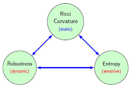 <strong>Figure 1.</strong> Network curvature, robustness, and entropy are all positively correlated. Image credit: Liangjia Zhu.