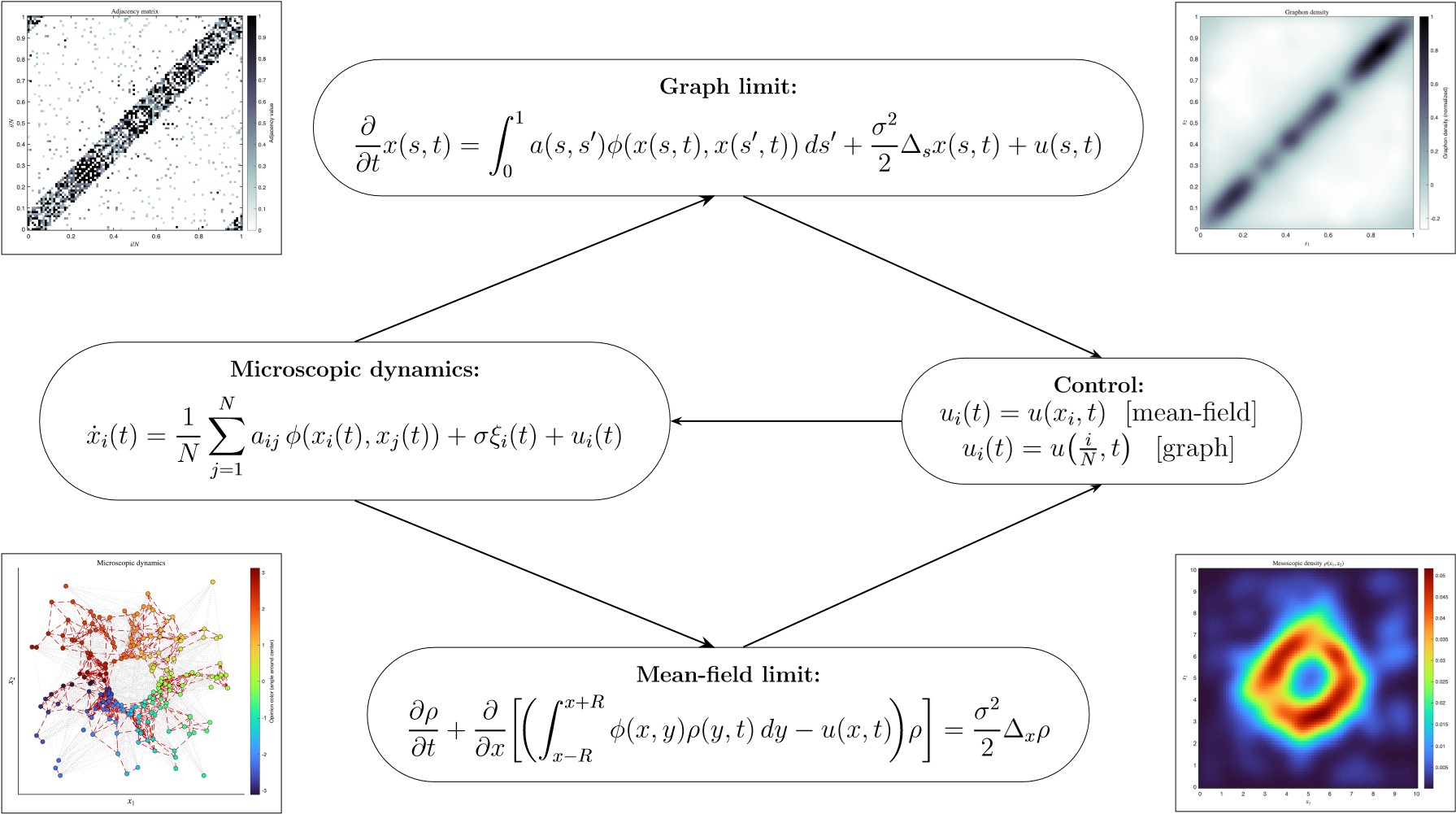 <strong>Figure 1.</strong> The three scales of collective control. The microscopic level (left) tracks \(N\) individual agents. The graph limit (top) replaces the discrete network with a continuous graphon, yielding an integro-differential equation. The mean-field limit (bottom) replaces agents with a probability density satisfying a Fokker-Planck partial differential equation. Both continuum descriptions can be used to design a feedback control law \(u(x,t)\) (right) that is then applied back to the agent-level system. Figure courtesy of the authors. 