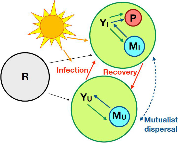 <strong>Figure 2.</strong> Structure of the consumer-resource model with pathogens. Figure courtesy of Frederick Adler.