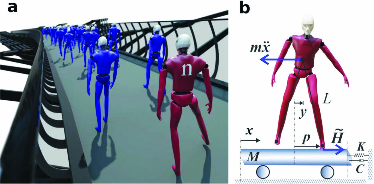 <strong>Figure 1.</strong> Outline of the mathematical model of pedestrian-induced lateral instability. <strong>1a.</strong> Pedestrians are added sequentially at fixed time increments. The addition of the \(n\)th pedestrian \((n=N_{\rm crit})\) causes the overall damping coefficient to become negative, meaning that the amplitude of motion increases rather than diminishes. <strong>1b.</strong> Inverted pendulum model of bridge mode and pedestrian lateral motion. Figure courtesy of [2].