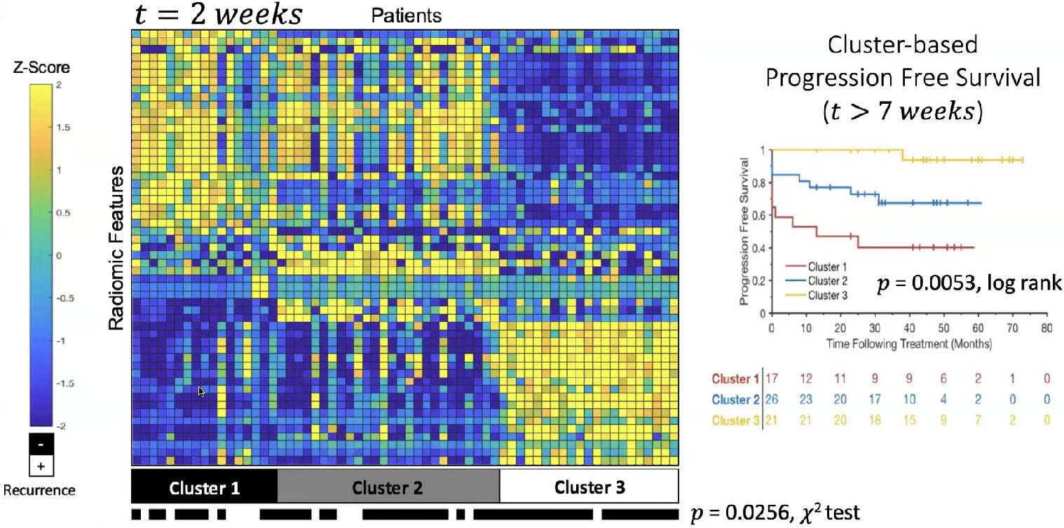 <strong>Figure 1.</strong> A feature space in the form of a heat map. Three different biclustering solutions are evident at \(t=2\) weeks.