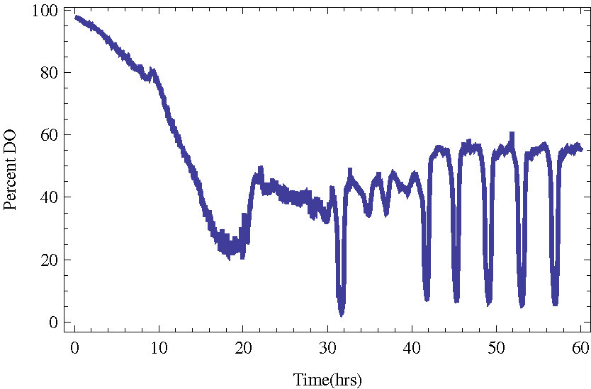 <strong>Figure 1.</strong> Budding yeast in a bioreactor entering stable metabolic oscillations (YMO). The measured quantity
is the dissolved oxygen in the bioreactor.