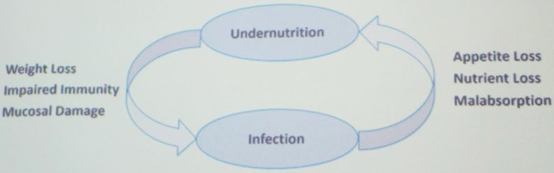 <strong>Figure 1.</strong> The cyclical relationship between wasting/malnutrition and rate of infection of acute diseases, particularly in children. Figure courtesy of Navideh Noori.