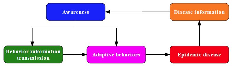 A specific logical loop in the process of the construction of the concrete interplay model. Image credit: Mengfeng Sun, Michael Small, Shui Shan Lee, and Xinchu Fu.