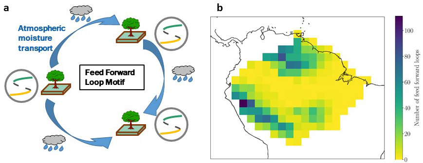 &lt;strong&gt;Figure 2.&lt;/strong&gt; Structures of vulnerability within the Amazon rainforest. &lt;strong&gt;2a.&lt;/strong&gt; Motif of the “feed forward loop” structure (representing a triangular structure) in which one rainforest grid cell (lower right) is targeted by two incoming moisture recycling links (from the left and upper right grid cells). Therefore, a potential tipping event in the left cell and subsequent decrease of atmospheric moisture transport would impact the lower right grid cell in two ways: via the direct link from the left cell and the indirect link from the left cell to the upper right grid cell. This occurrence can lead to a negative amplification and additional threat for the lower right cell. &lt;strong&gt;2b.&lt;/strong&gt; Number of feed forward loop motifs in the Amazon rainforest, exemplary drawn for the year 2014 on a \(2^{\circ} \times 2^{\circ}\) grid. Figure 2a courtesy of Nico Wunderling, 2b adapted from [9].