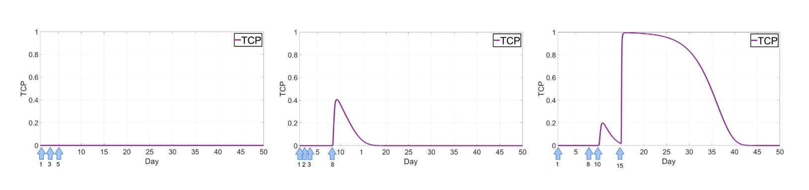 <strong>Figure 2.</strong> Tumor control probability (TCP) curves generated by optimized treatment schedules. The left panel shows a treatment plan with a high initial dose on Day 1 (78.94), followed by lower doses on Days 3 (2.33) and 5 (13.73). The middle panel depicts TCP curve from treatments with lower initial doses followed by higher doses throughout the treatment: Day 1 (10), Day 2 (77.76), Day 3 (7.24), and Day 8 (95). The right panel shows treatment with higher average doses each day: Day 1 (95), Day 8 (64.35), Day 10 (30.65), 15 (95). Dose values are reported in dimensionless units following nondimensionalization of the model variables. Figure courtesy of the author. 